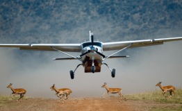 flying-safari-in-Samburu-1024x428