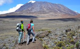 hike-shireau-plateau-kilimanjaro22