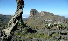 Getting-to-Mount-Elgon-National-Parks