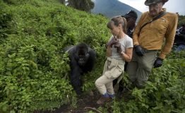 Gorilla-Trekking-in-Volcanoes-National-Park-1024x649