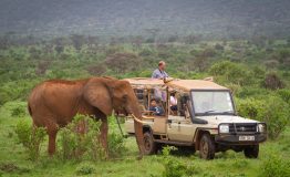 elephant_bedroom_camp_-_samburu_45_