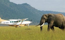 flights-to-Masai-Mara-National-Reserve