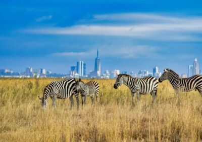 nairobi with adventure africa expeditions