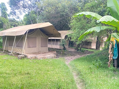 Standard Budget Camp, Enchoro Camp - Maasai Mara, Kenya