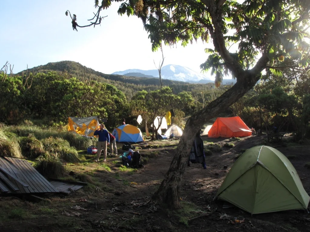 Mt Kilimanjaro Climbing, Mount Kilimanjaro Trekking