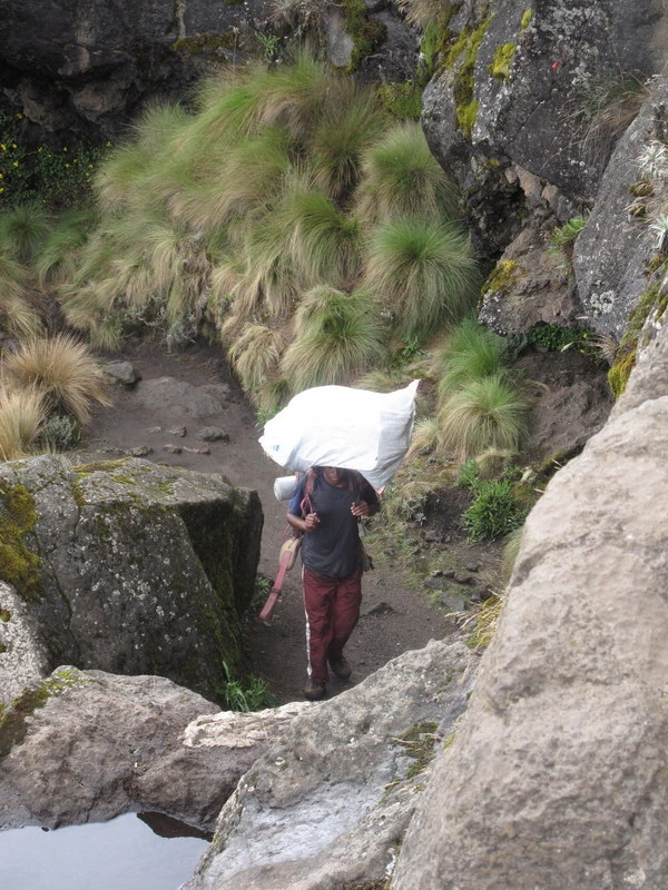 Trekking on Mount Kilimanjaro, Hiker on Mt Kili