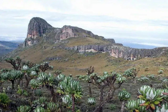 Adventure Africa Expeditions expedition photo 3