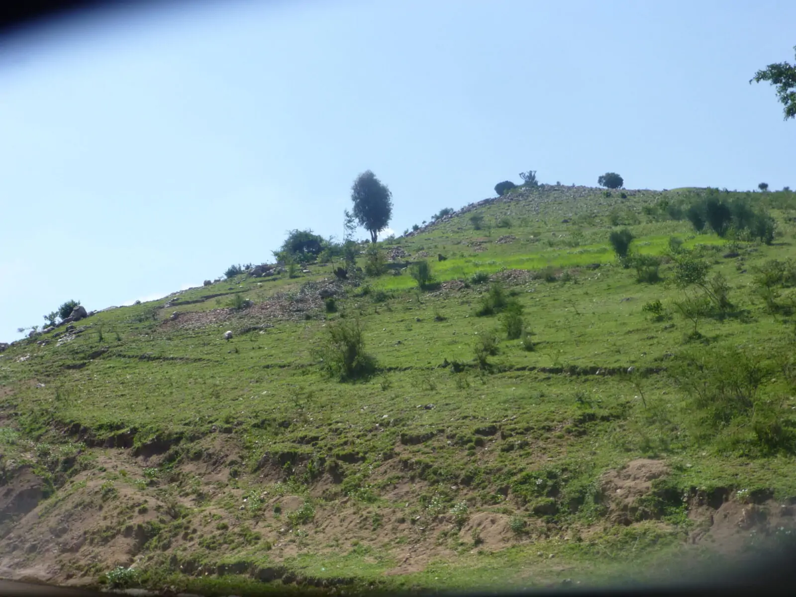 Adventure Africa Expeditions expedition photo 2